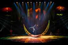 OVO - Cirque du Soleil