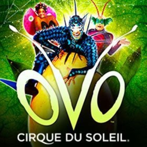 OVO - Cirque du Soleil OVO - Cirque du Soleil