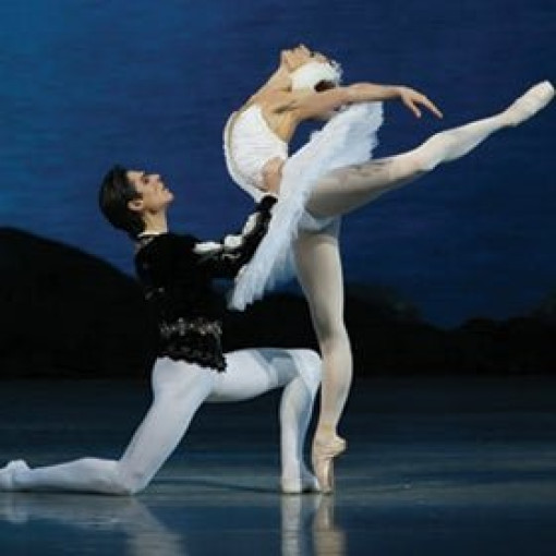 Swan Lake Swan Lake