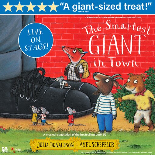 The Smartest Giant In Town