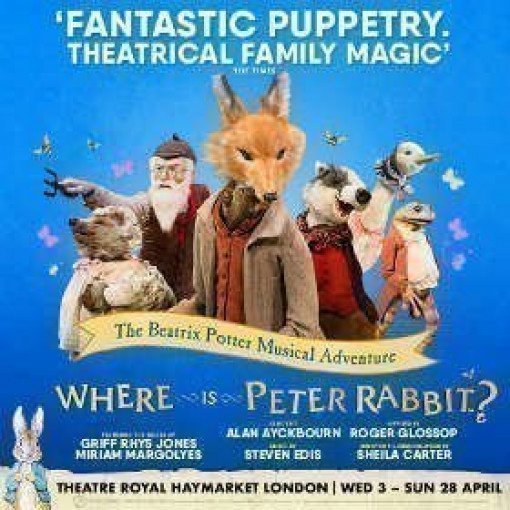 Where Is Peter Rabbit? Where Is Peter Rabbit?